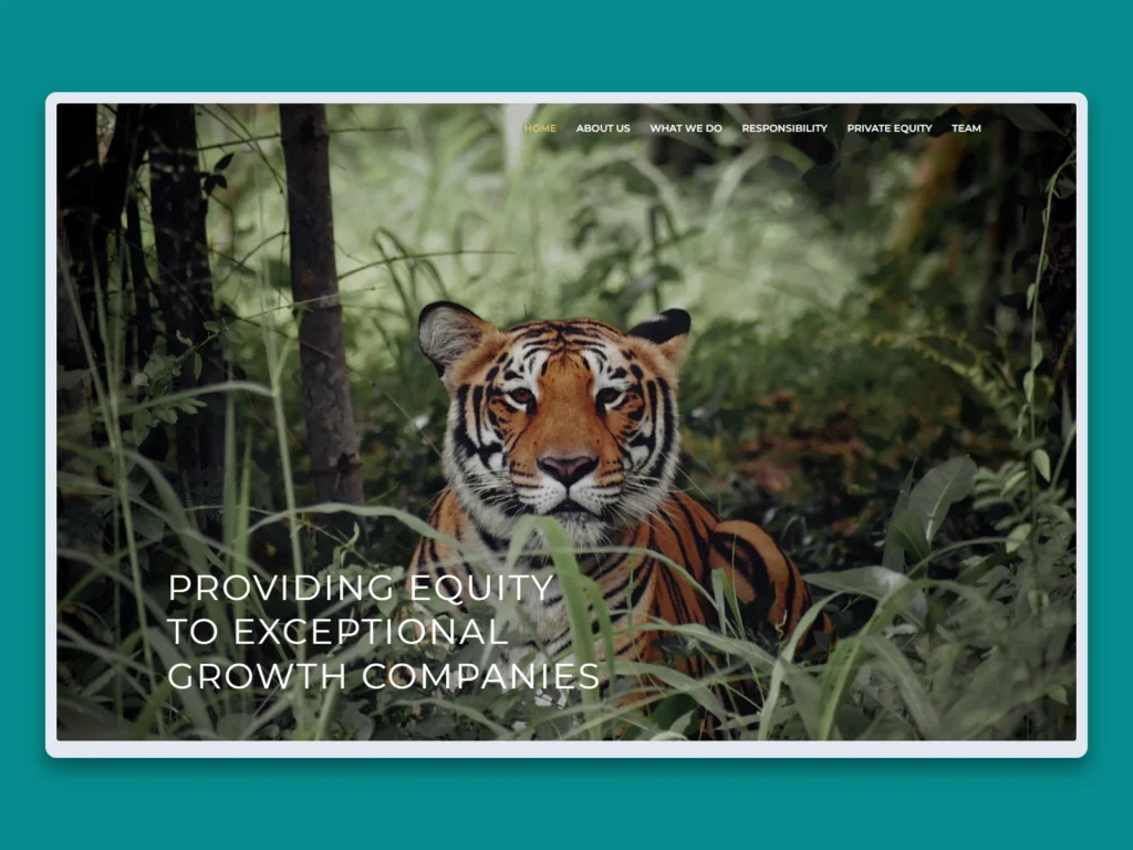 Panthera website mockup on desktop, tablet and mobile